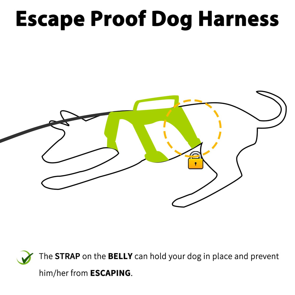 Huntboo escape-proof dog harness back view highlights sturdy construction