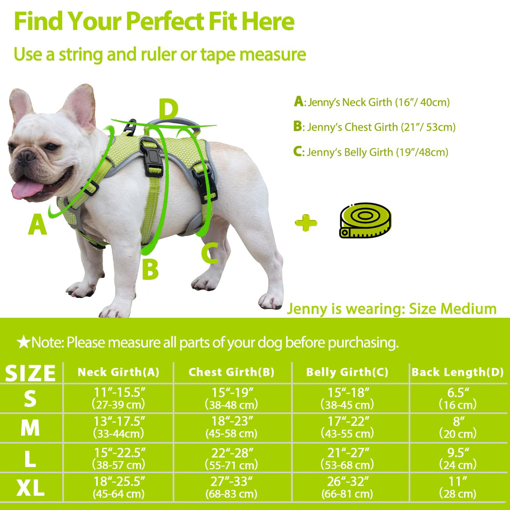 Huntboo escape-proof dog harness belly-strap focus illustrates secure restraint