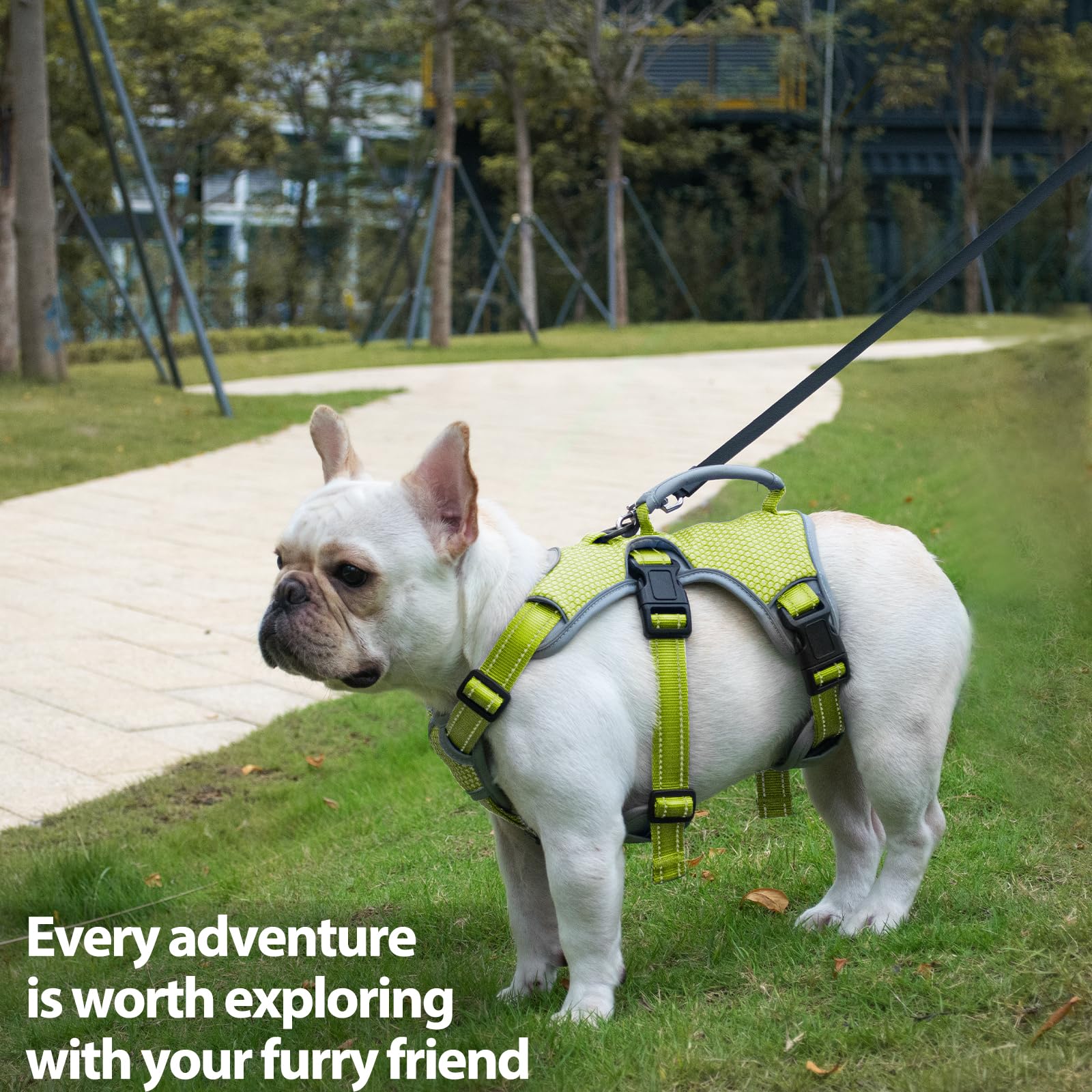Huntboo escape-proof dog harness in-use scene shows training and outdoor exploration