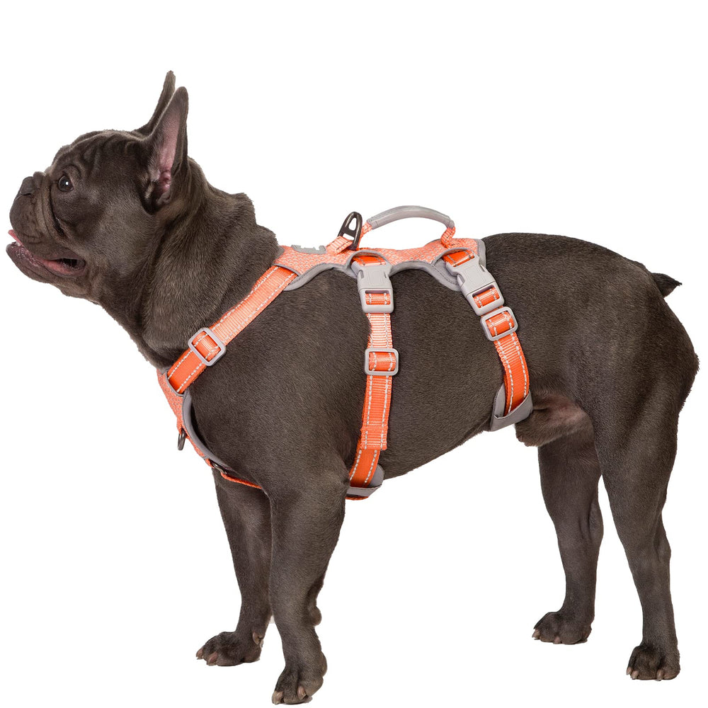 Huntboo Escape Proof Dog Harness orange front view shows secure fit for safer walks.