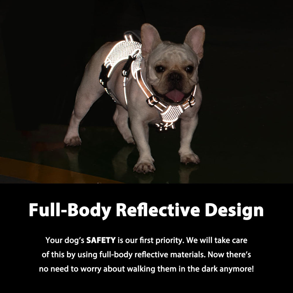 Huntboo reflective strip on orange harness improves visibility for night walks