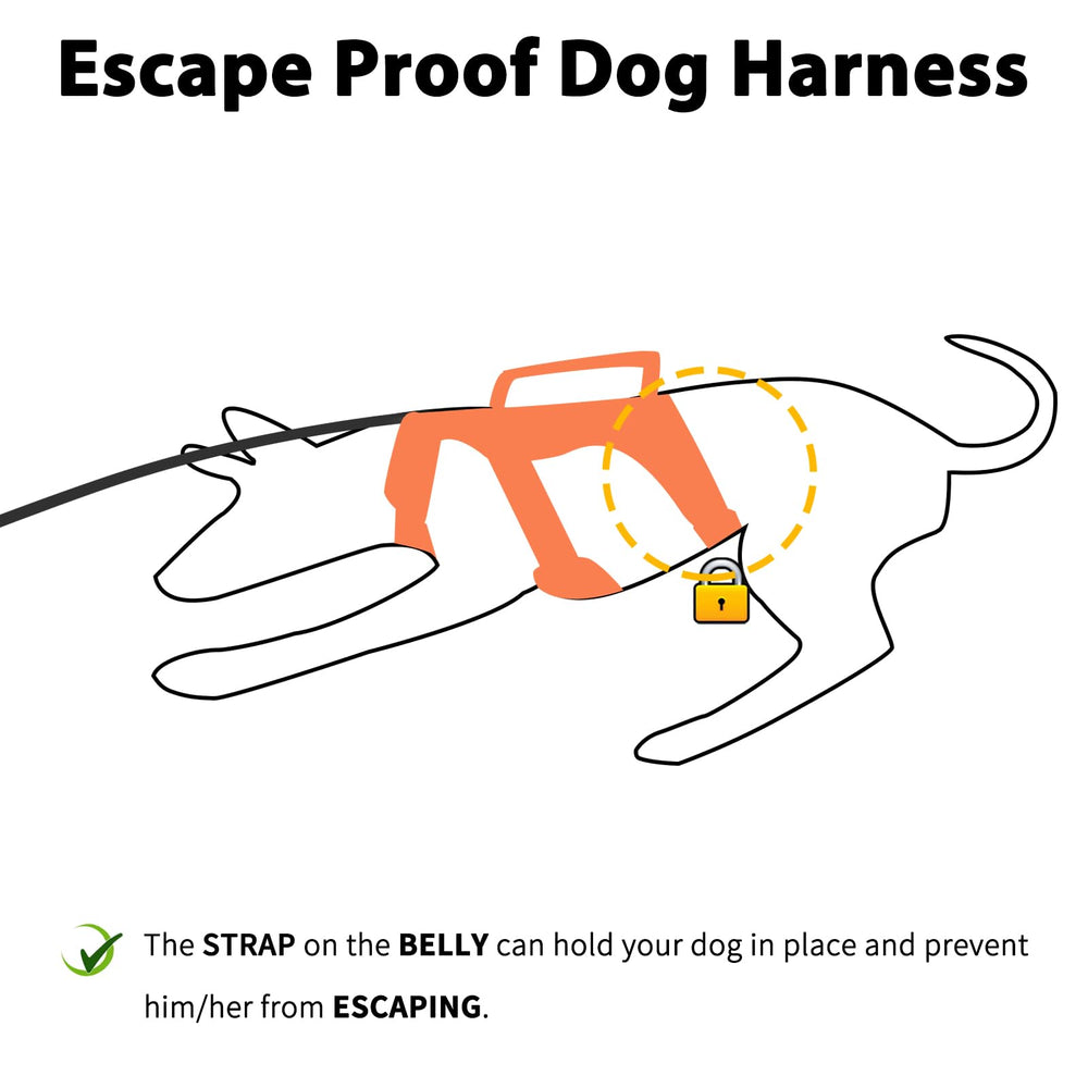 Huntboo escape-proof harness orange side view highlights belly strap for escape prevention