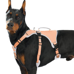 Huntboo escape-proof harness front view shows secure fit for active dogs