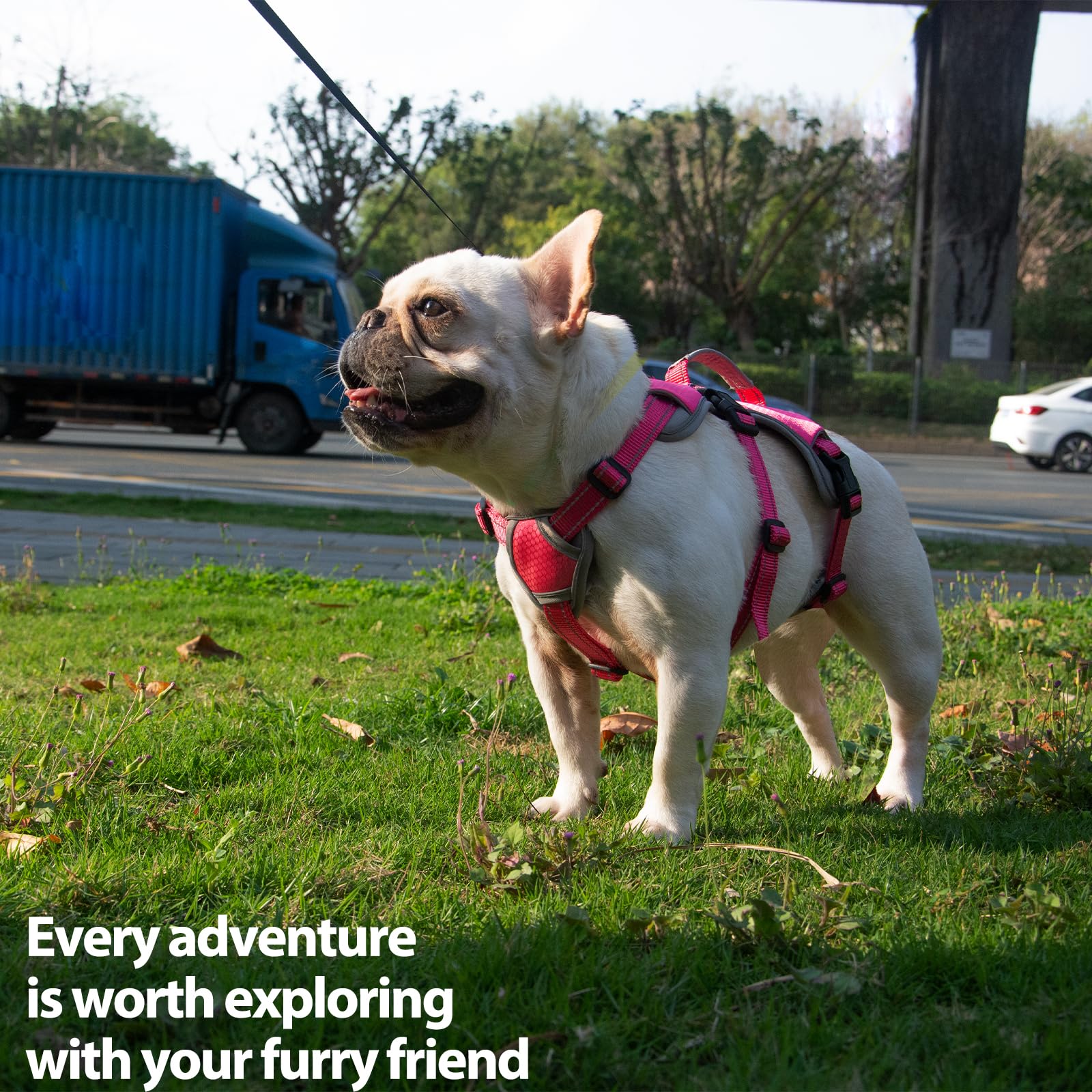 Huntboo Escape-Proof Harness rose red breathable-mesh ensures cool comfort during long walks.