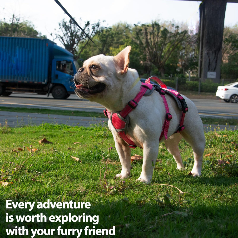 Huntboo Escape-Proof Harness rose red breathable-mesh ensures cool comfort during long walks.