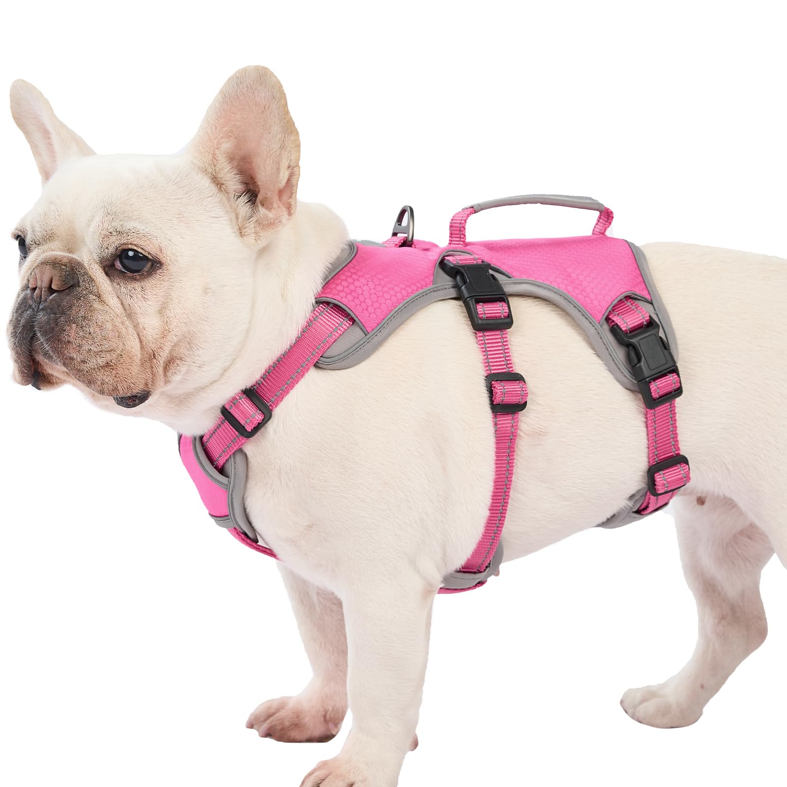 Huntboo Escape-Proof Harness rose red, front view shows secure fit for daily walks.