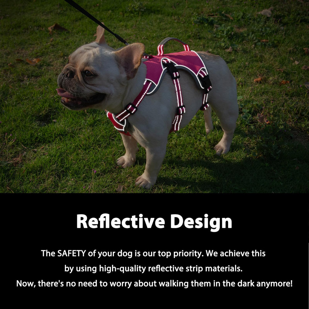 Huntboo Escape-Proof Harness rose red reflective-strips improve visibility for day and night walks.