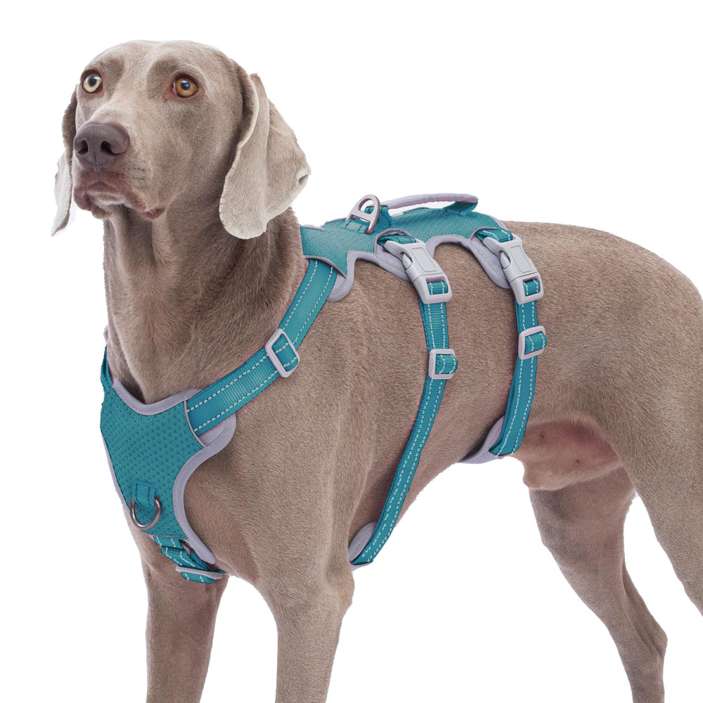 Huntboo escape-proof dog harness teal front view promotes secure control on daily walks