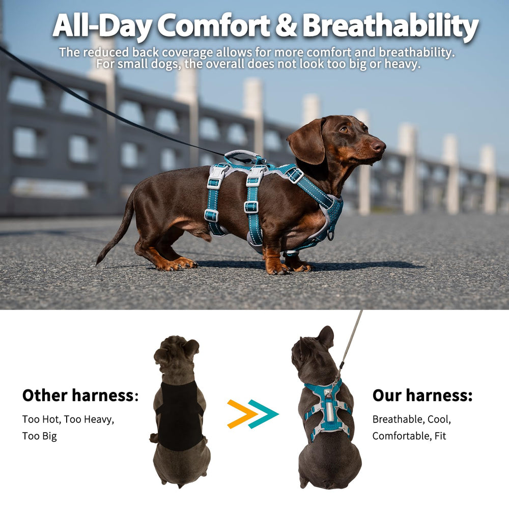 Huntboo Adjustable 5-Point Fit illustrates customizable sizing for growing dogs