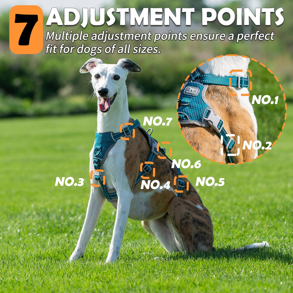 Huntboo Escape Proof Harness adjustable-fit promises a comfortable grow-with-your-dog experience
