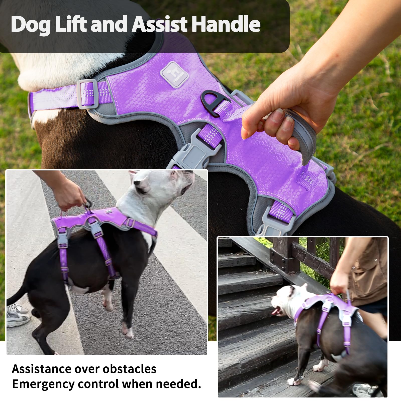 Huntboo Escape Proof Harness adjustment points illustrate customizable fit for growing dogs and active days.