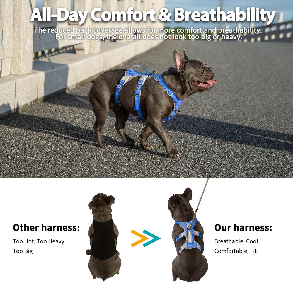Huntboo Escape Proof Harness back D-ring supports easy leash control during training.