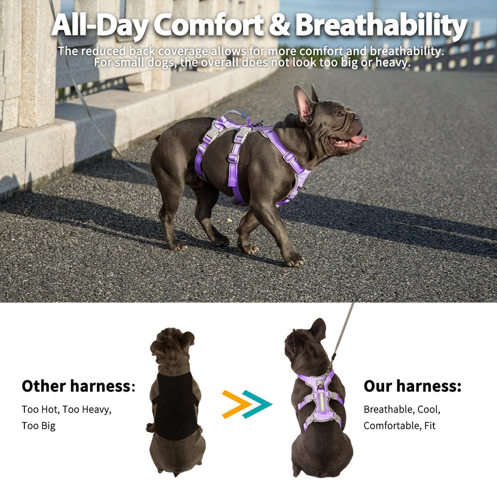Huntboo back-d-ring enables versatile leash control for adventures