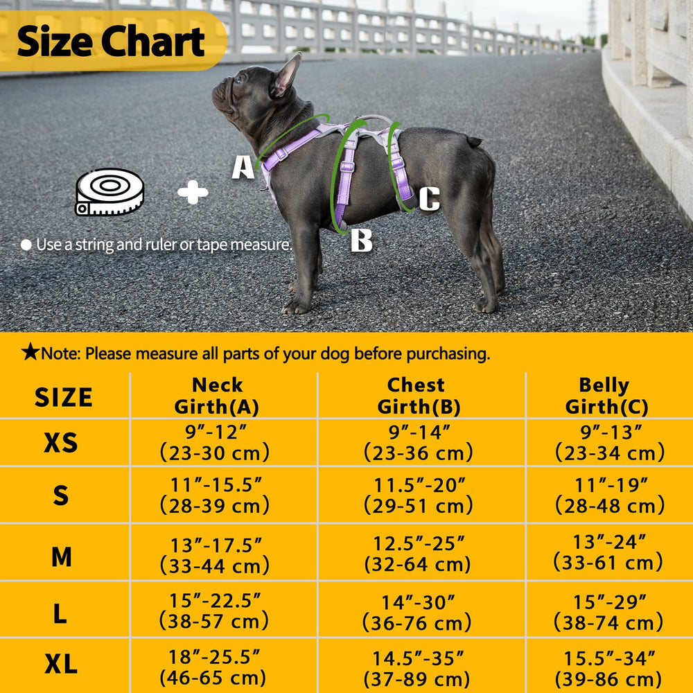 Huntboo breathable air-mesh keeps dogs cool during walks