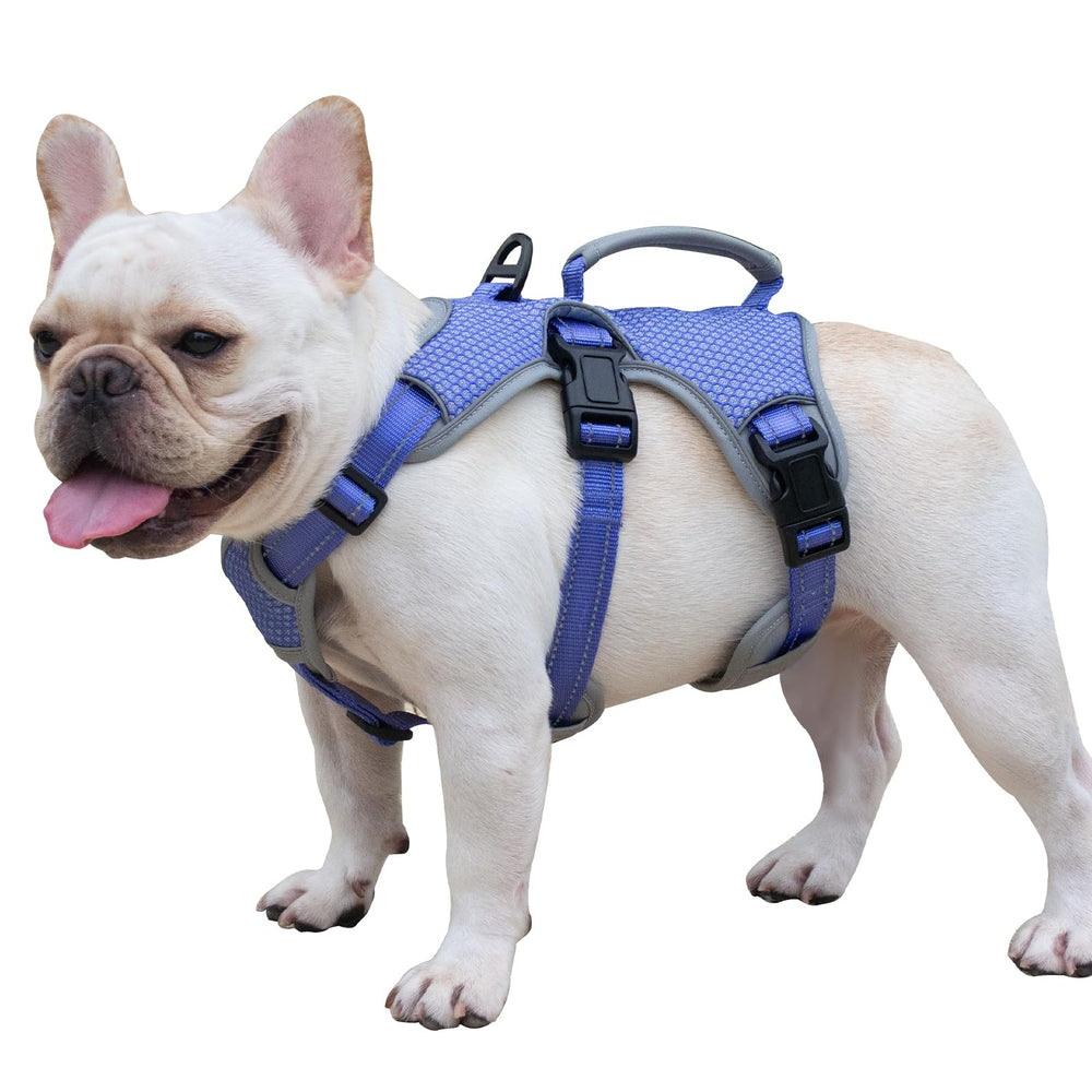 Huntboo harness breathable-mesh keeps dogs cool on long outings