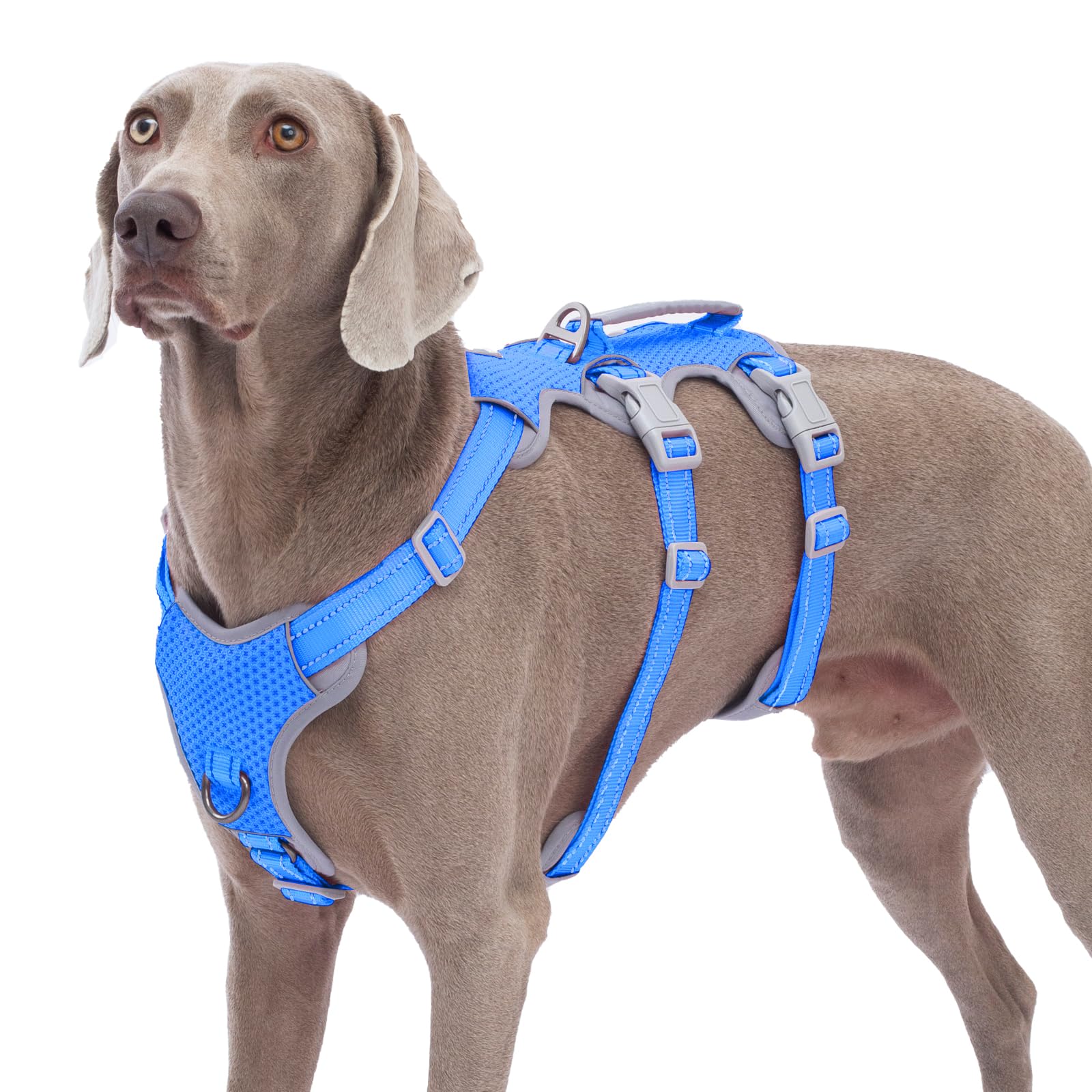 Huntboo escape-proof harness with breathable mesh for comfortable walks.