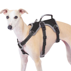 Huntboo escape-proof harness closeup buckle for secure quick-release control