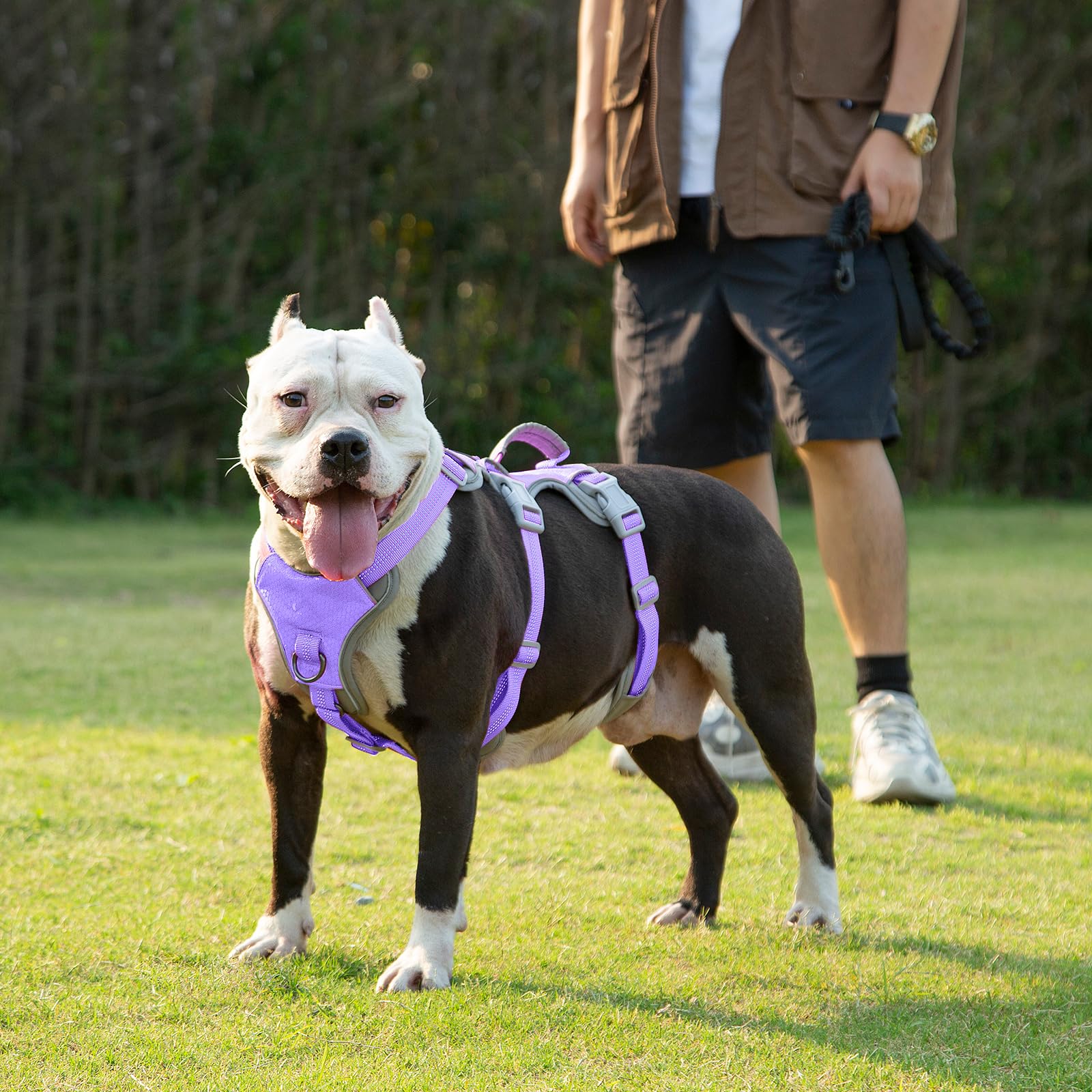 Huntboo Escape Proof Harness dual D-rings support secure leashing and efficient training.