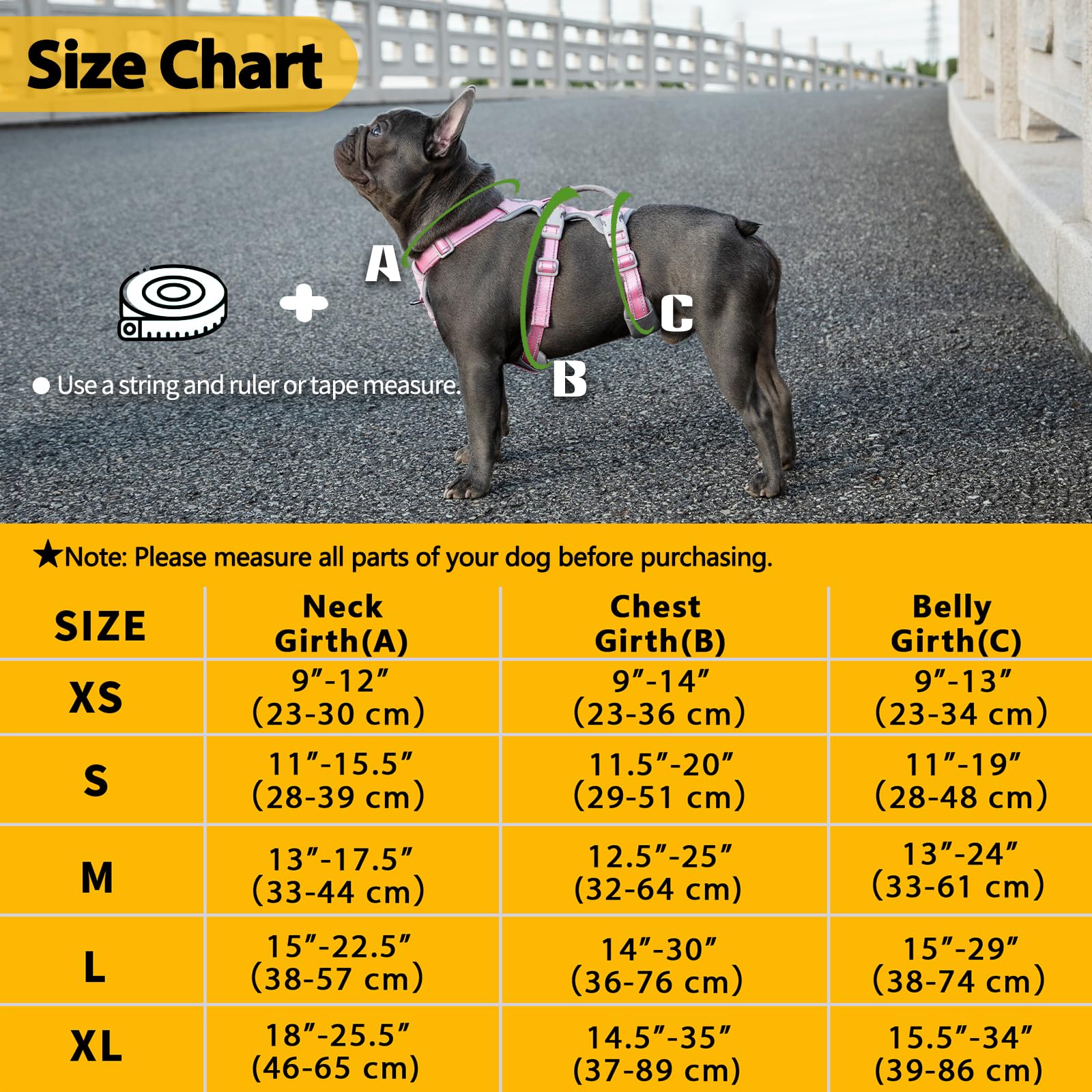 Huntboo five-point fit image illustrates adjustable sizing for growing dogs