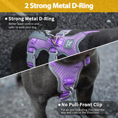 Huntboo front chest-d-ring promotes controlled walking with reduced pulling