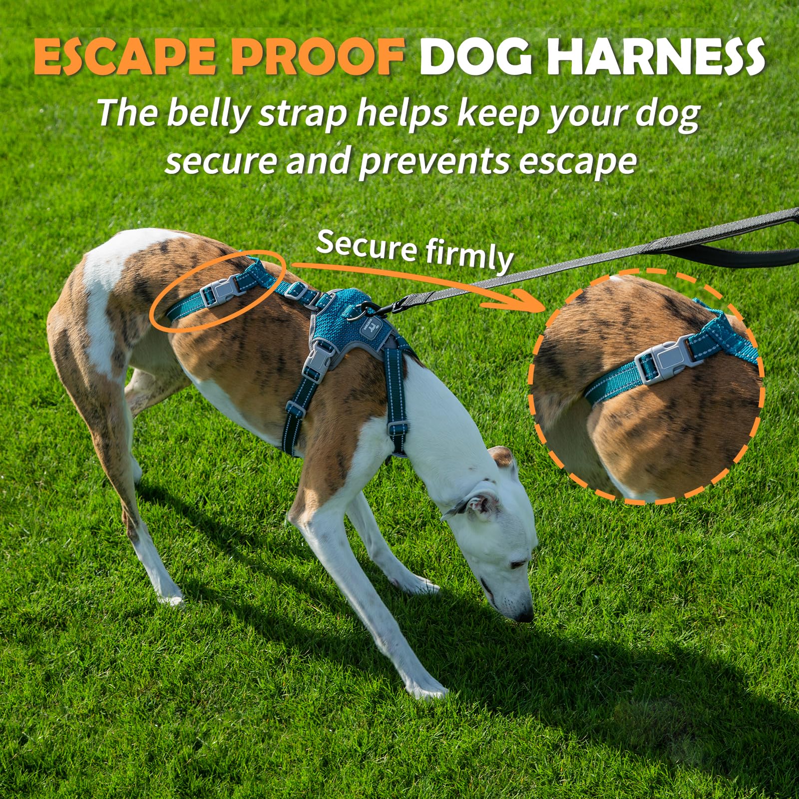 Huntboo Escape Proof Harness front-d-ring demonstrates front-control for training and gentler guidance