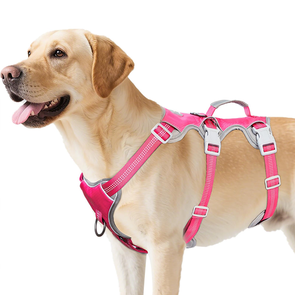 Huntboo escape-proof harness front view with reflective safety for day and night walks.