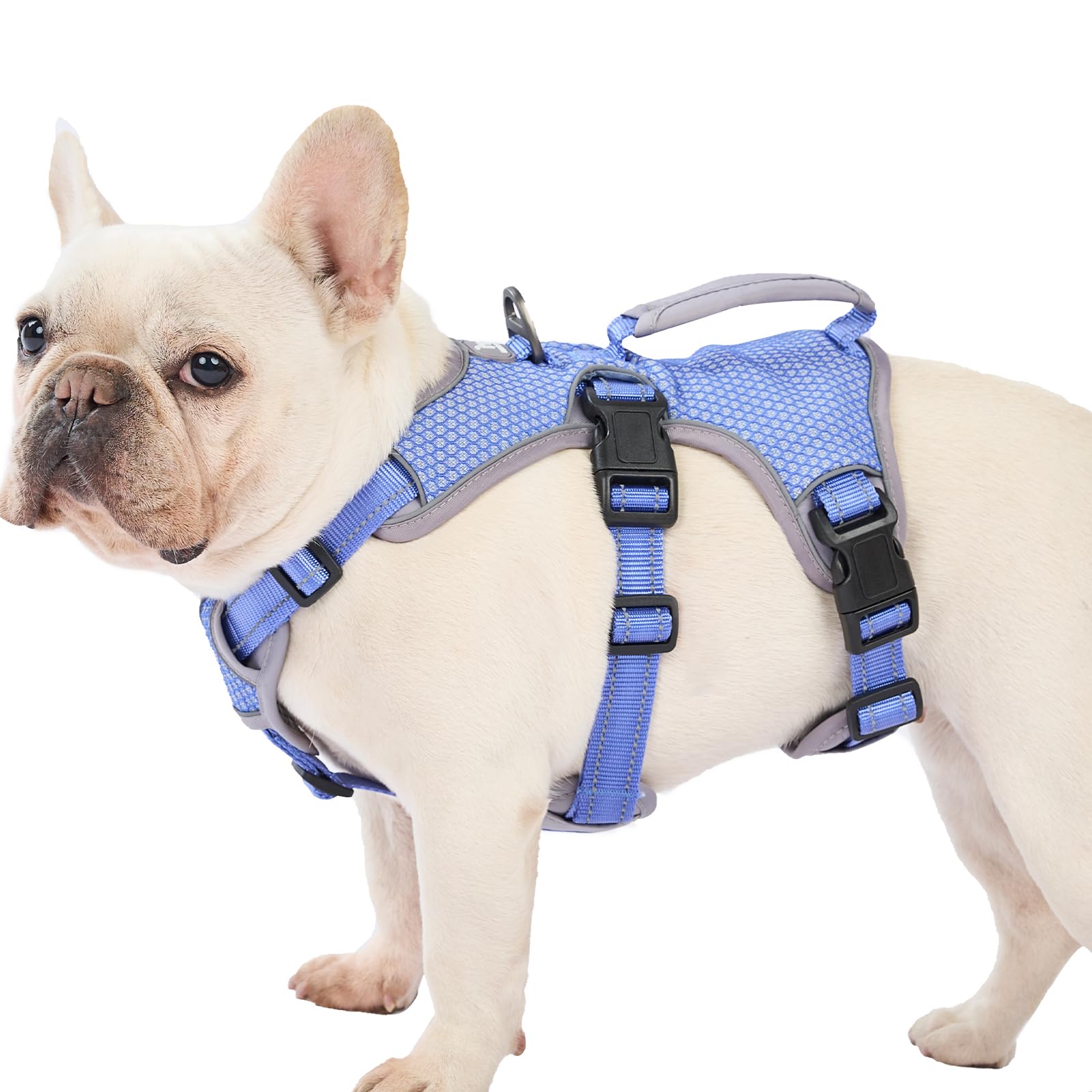 Huntboo escape-proof harness front view with handle for secure control during walks.