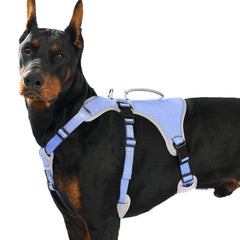 Huntboo Escape Proof Harness front view shows secure fit for safer daily walks
