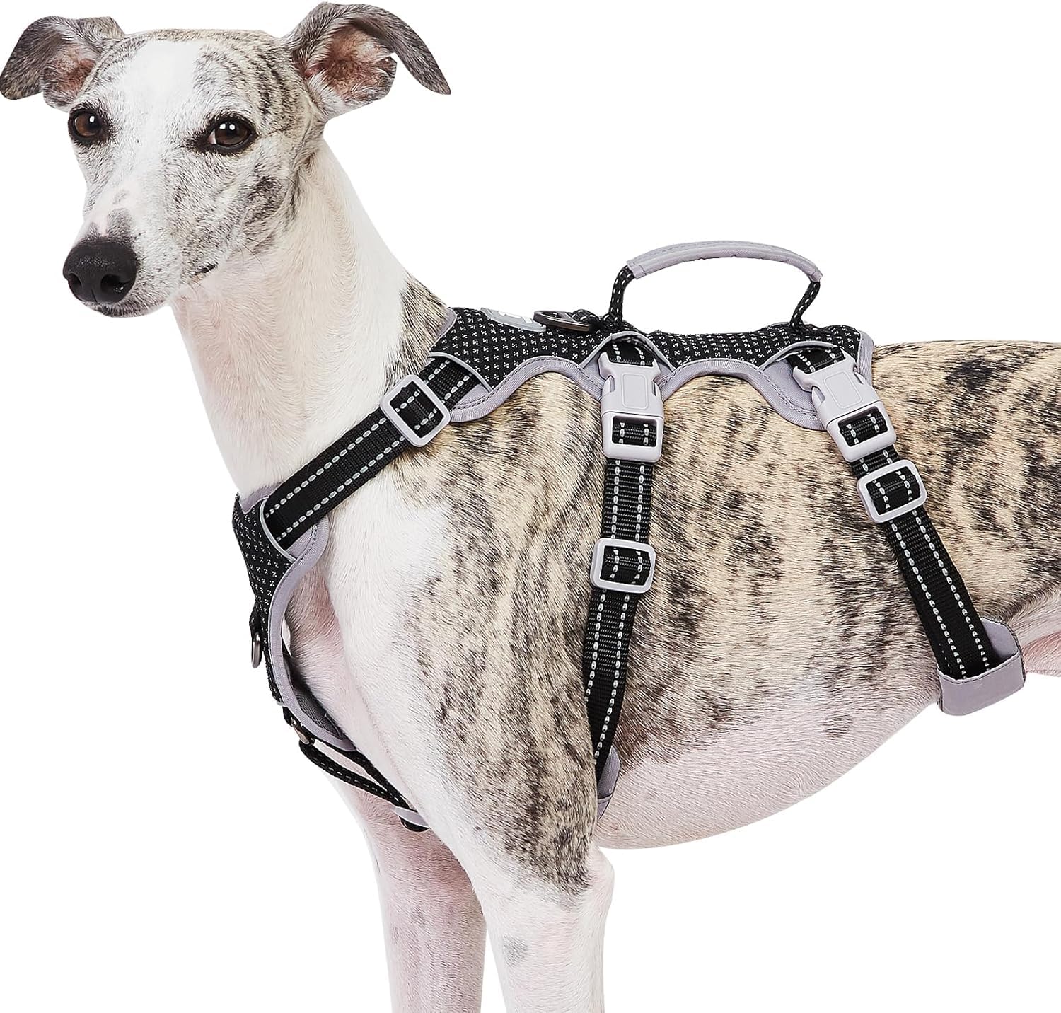 Huntboo escape proof harness front view for secure daily walks.