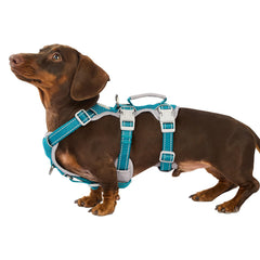 Huntboo Escape Proof Harness full view shows secure fit for safe daily walks