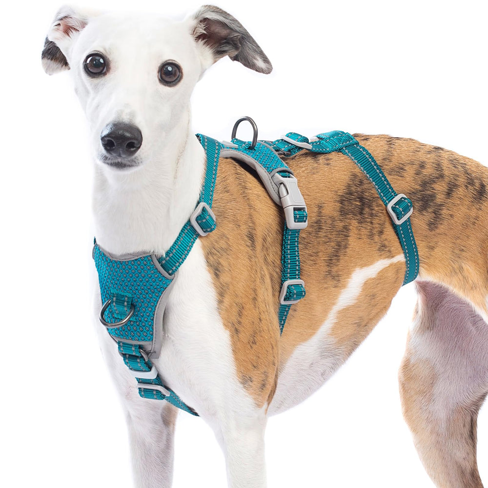 Huntboo Escape Proof Harness lightweight-durable design keeps dogs agile on trails