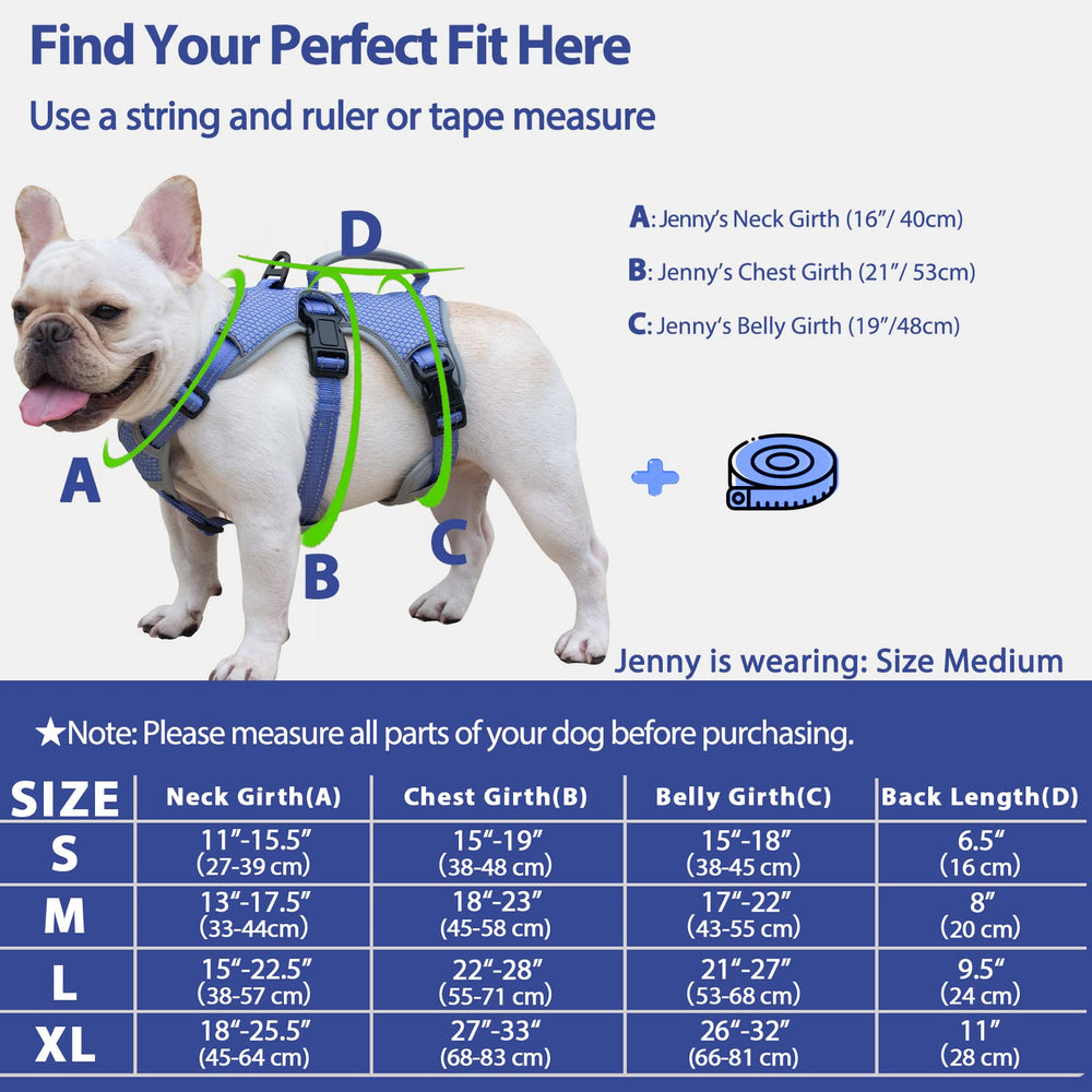 Huntboo escape-proof harness padded handle aids lifting over stairs and obstacles.