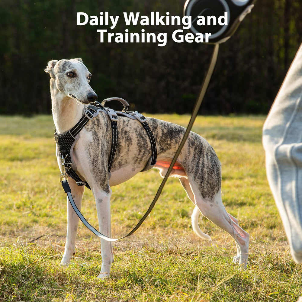 Huntboo padded lift handle enables instant grip during obstacle navigation