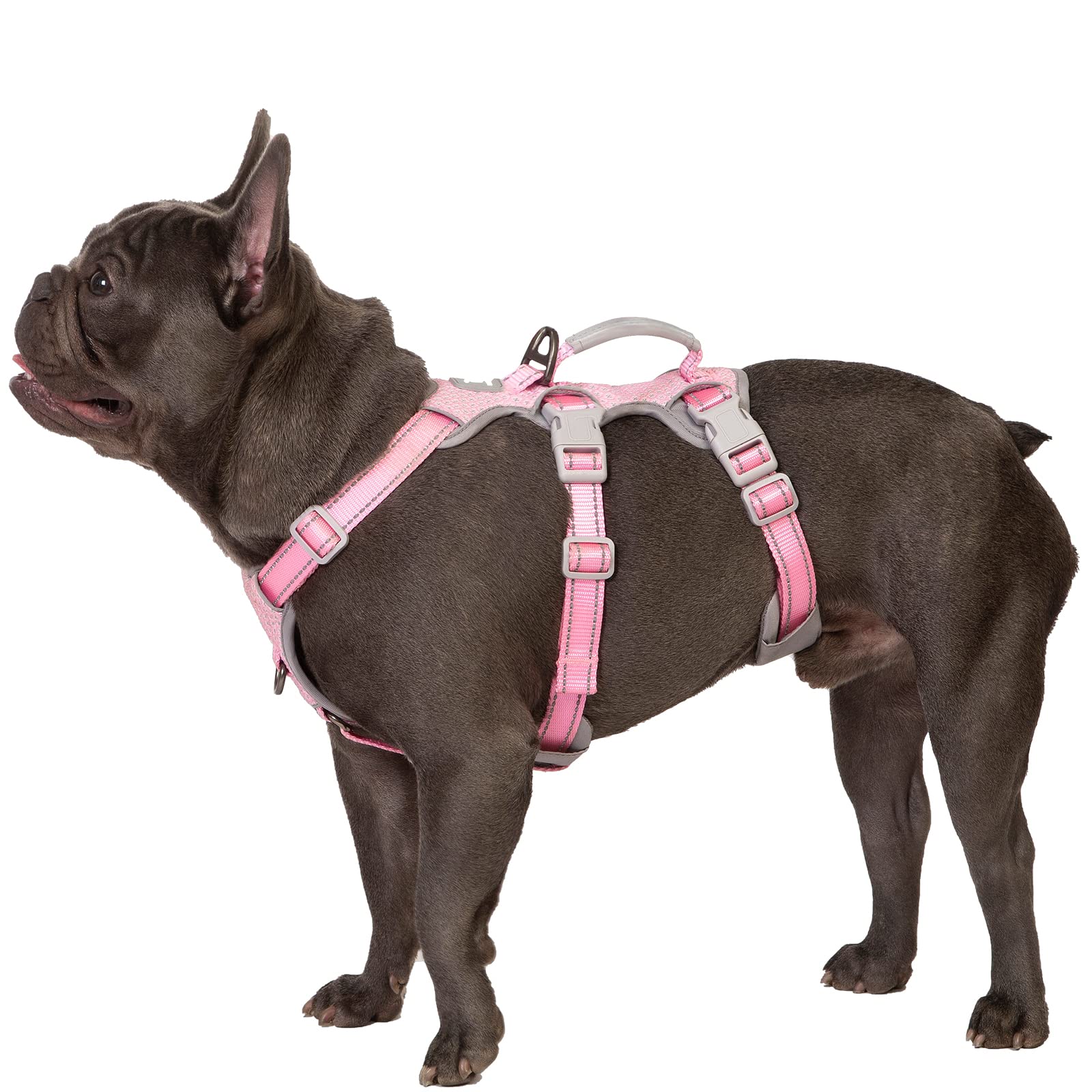 Huntboo Escape Proof Harness pink front view shows secure fit for daily walks