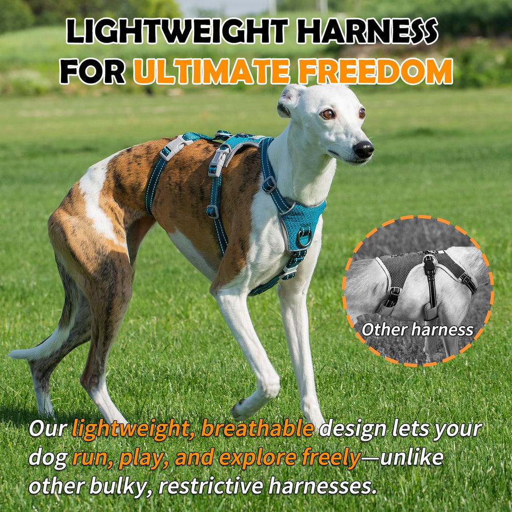 Huntboo Escape Proof Harness quick-release-buckles enable easy on-and-off during outings