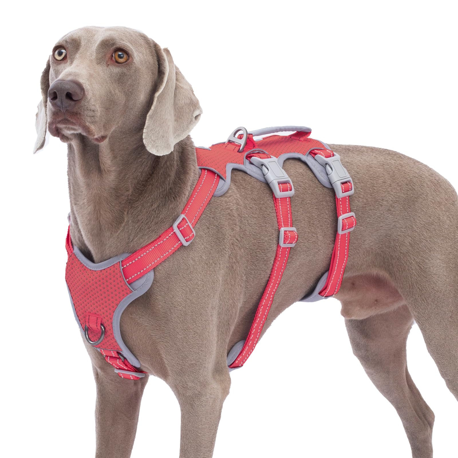 Huntboo escape-proof-harness red front-view for secure control during daily walks.