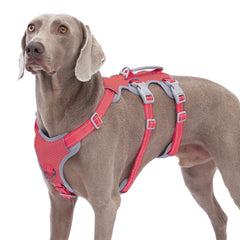 Huntboo escape-proof-harness red front-view for secure control during daily walks.
