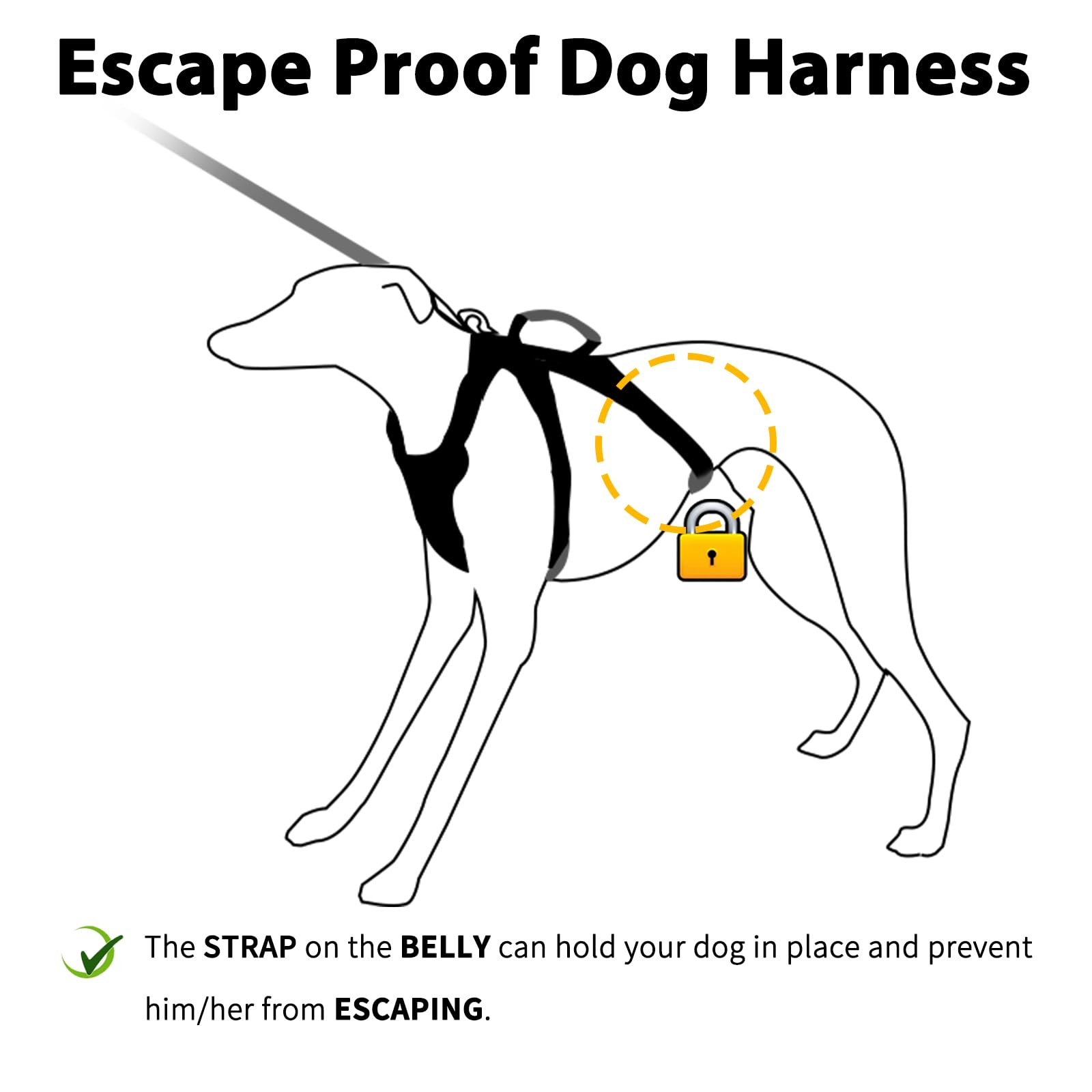 Huntboo Reflective Design emphasizes high visibility for safer night outings