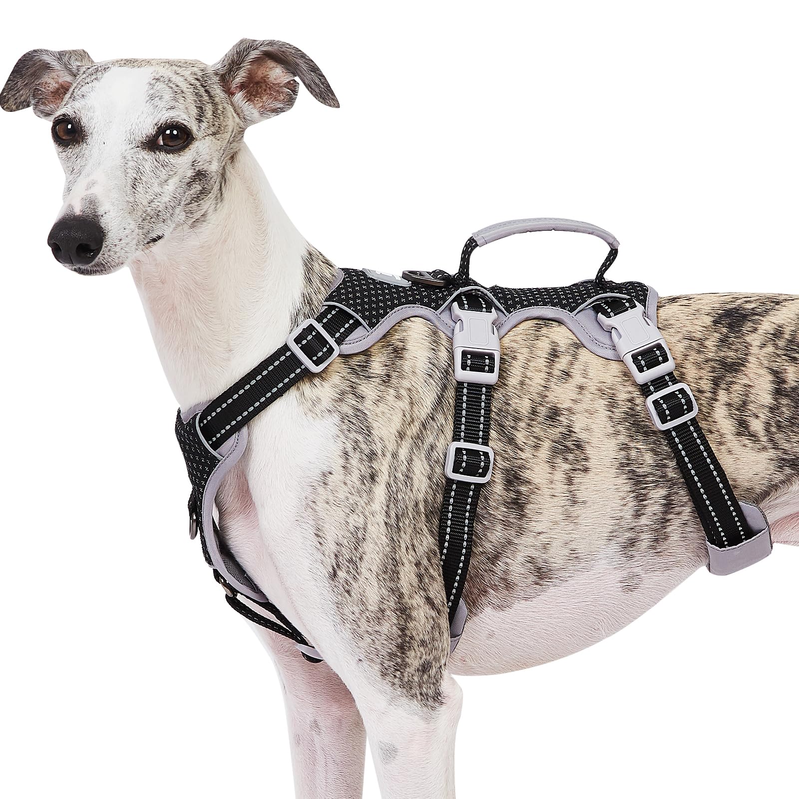 Huntboo Escape Proof Harness with reflective handle for secure grip during dusk walks