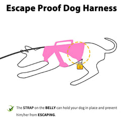 Huntboo escape-proof harness with reflective strip for safer night walks
