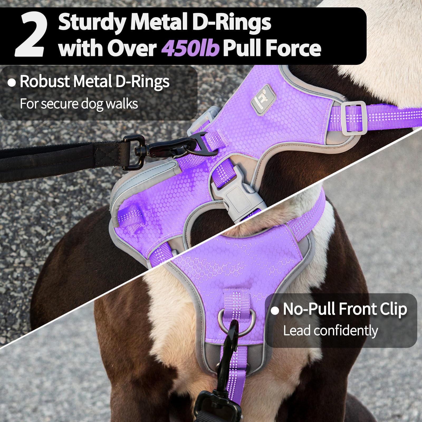 Huntboo Escape Proof Harness reflective strips enhance visibility during evening strolls.