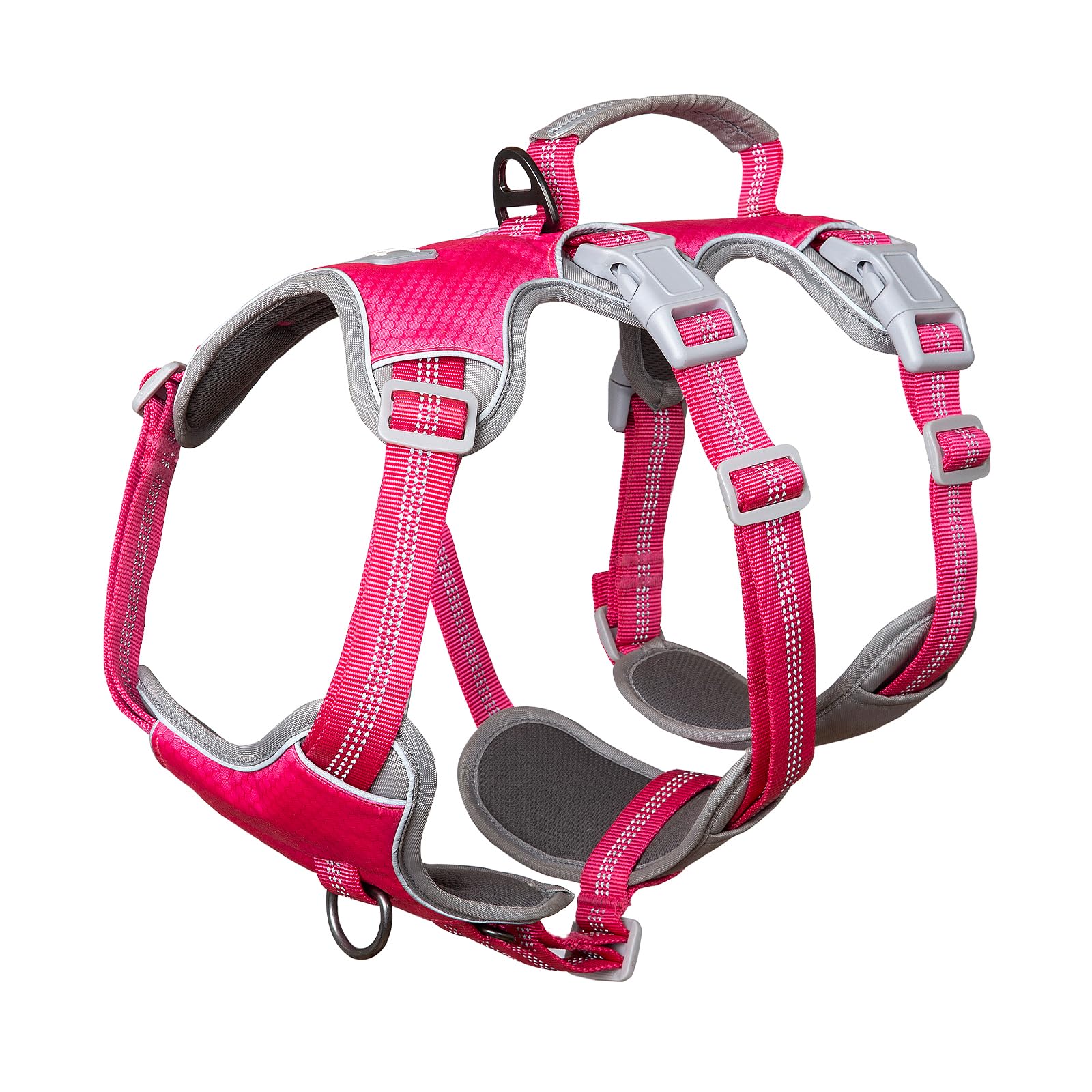 Huntboo escape-proof harness side adjustment demonstrates easy sizing for growing dogs.