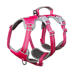 Huntboo escape-proof harness side adjustment demonstrates easy sizing for growing dogs.