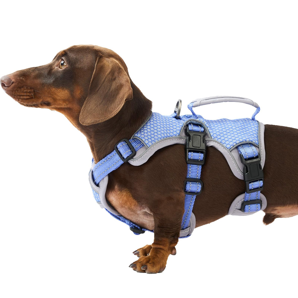 Huntboo escape-proof harness strap shows secure fit for active dogs during walks.
