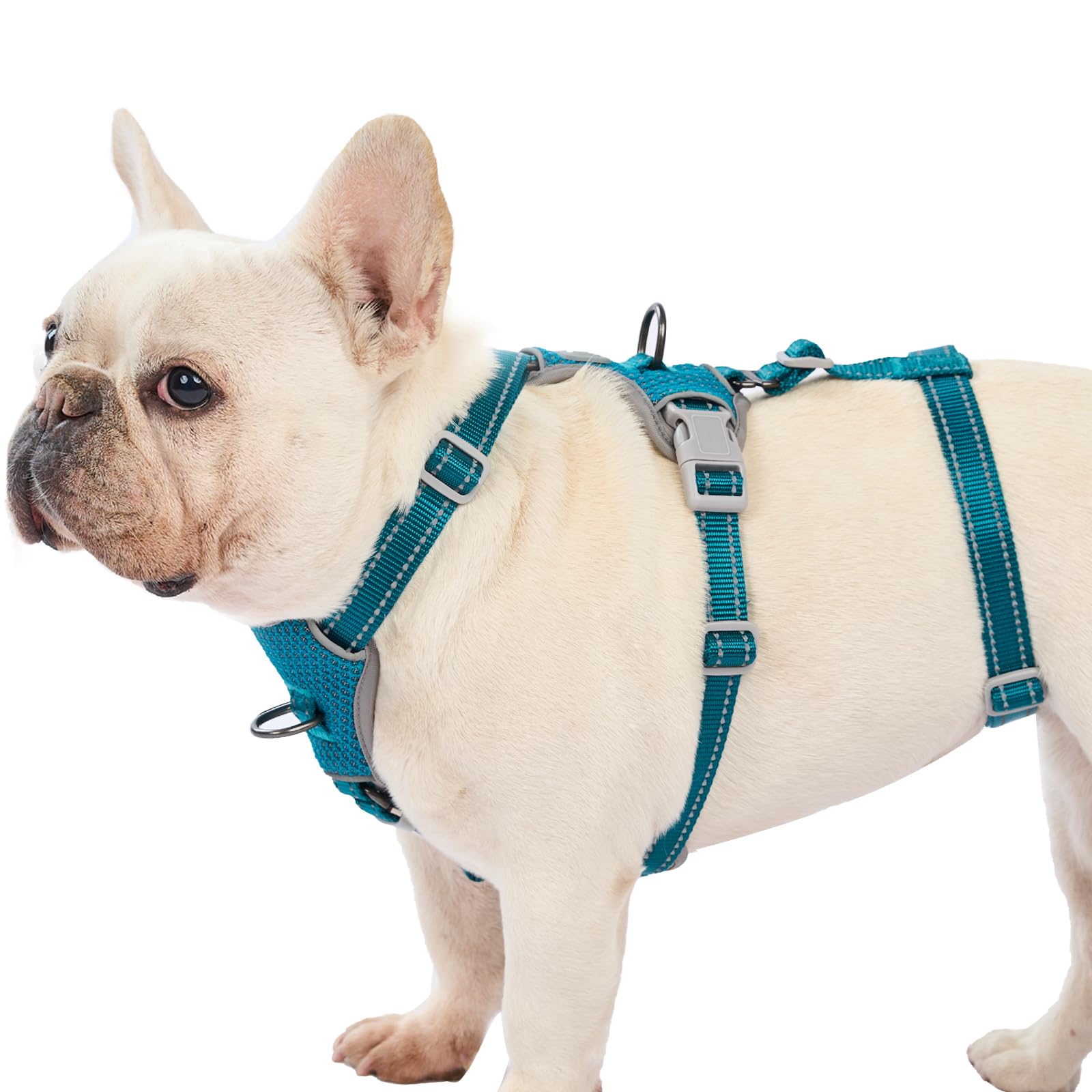 Huntboo Escape Proof Harness teal side view highlights comfort and escape resistance during outdoor walks