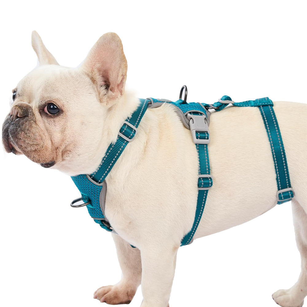 Huntboo Escape Proof Harness teal side view highlights comfort and escape resistance during outdoor walks