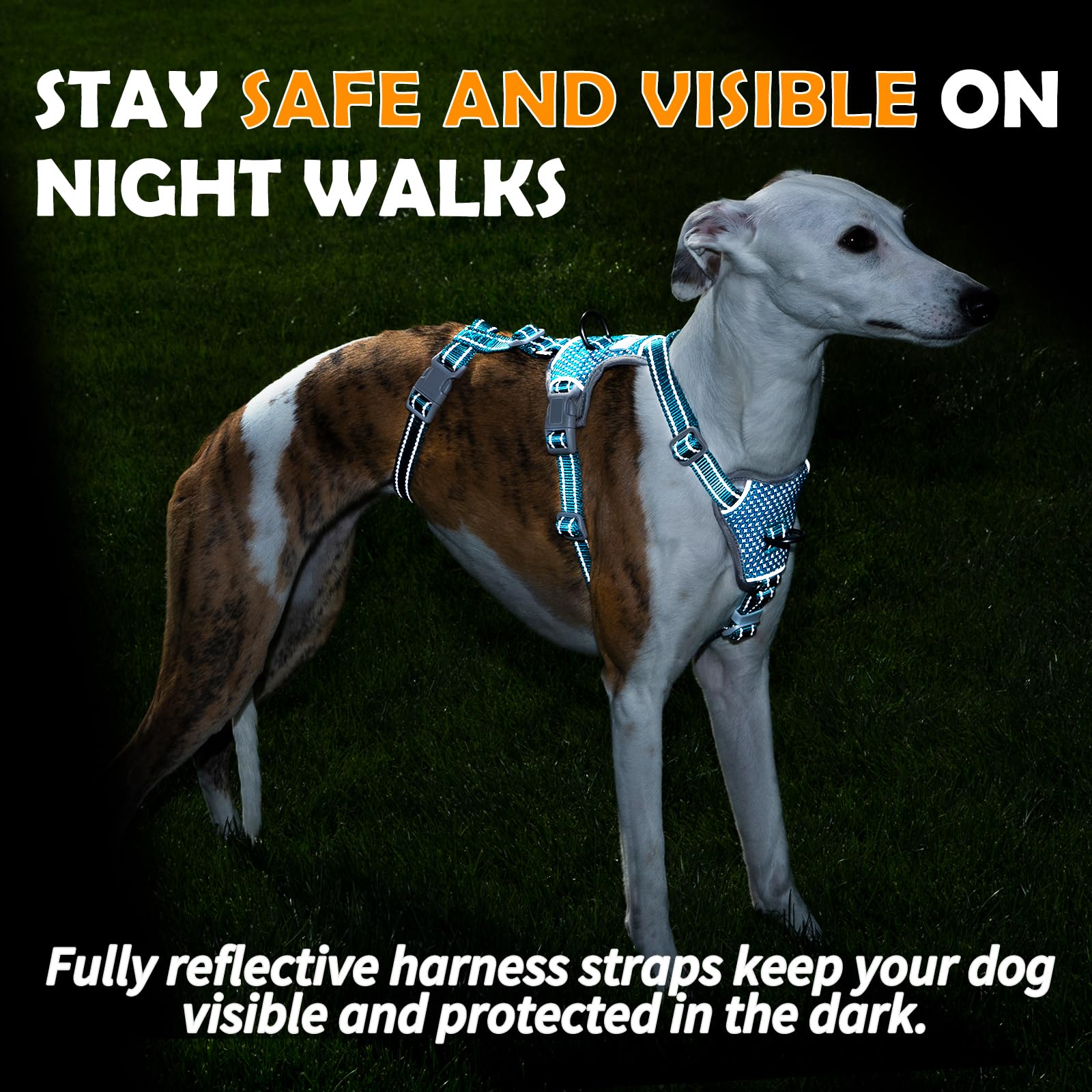 Huntboo Escape Proof Harness three-straps illustrates enhanced safety with secure fit