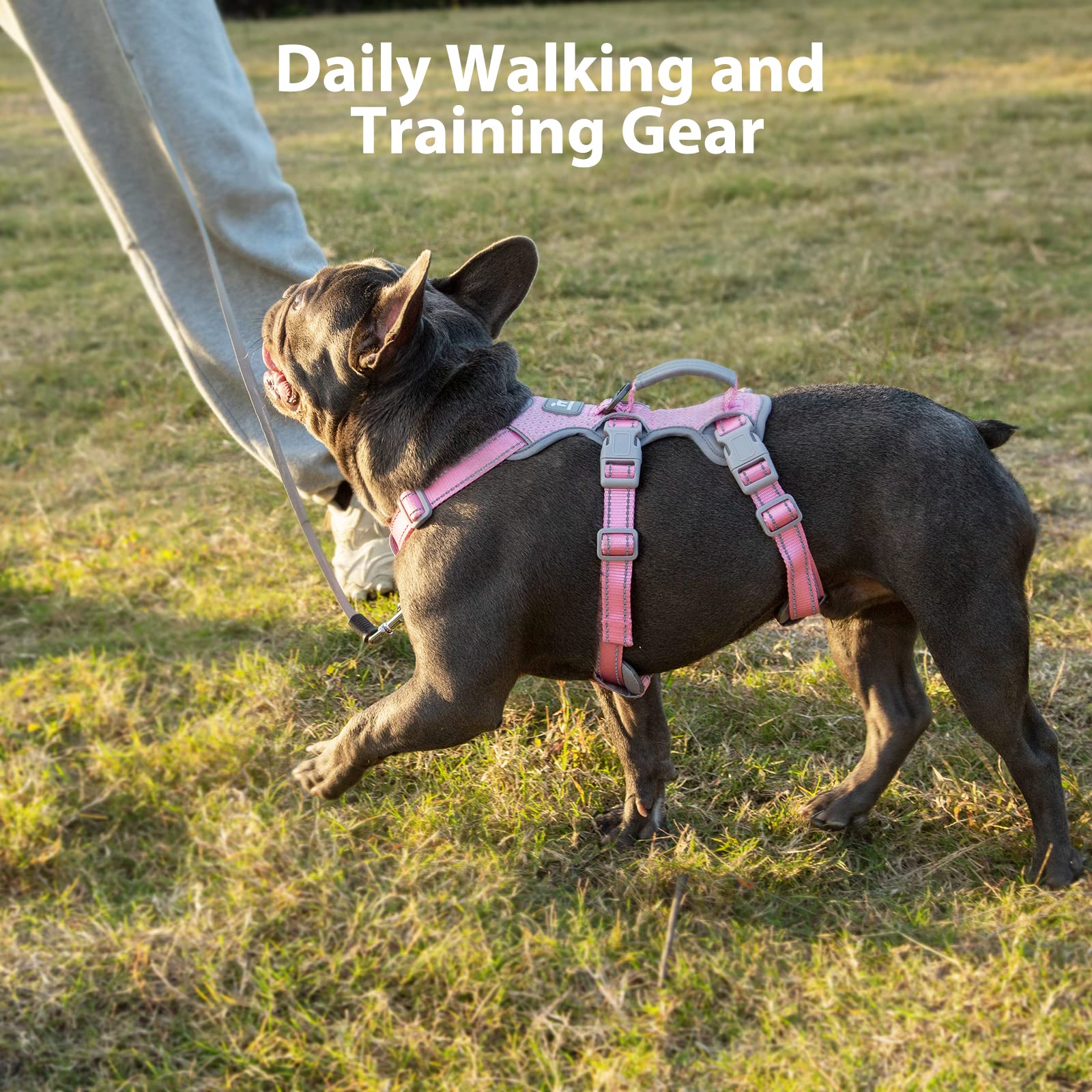 Huntboo urban use image demonstrates versatile daily harness use