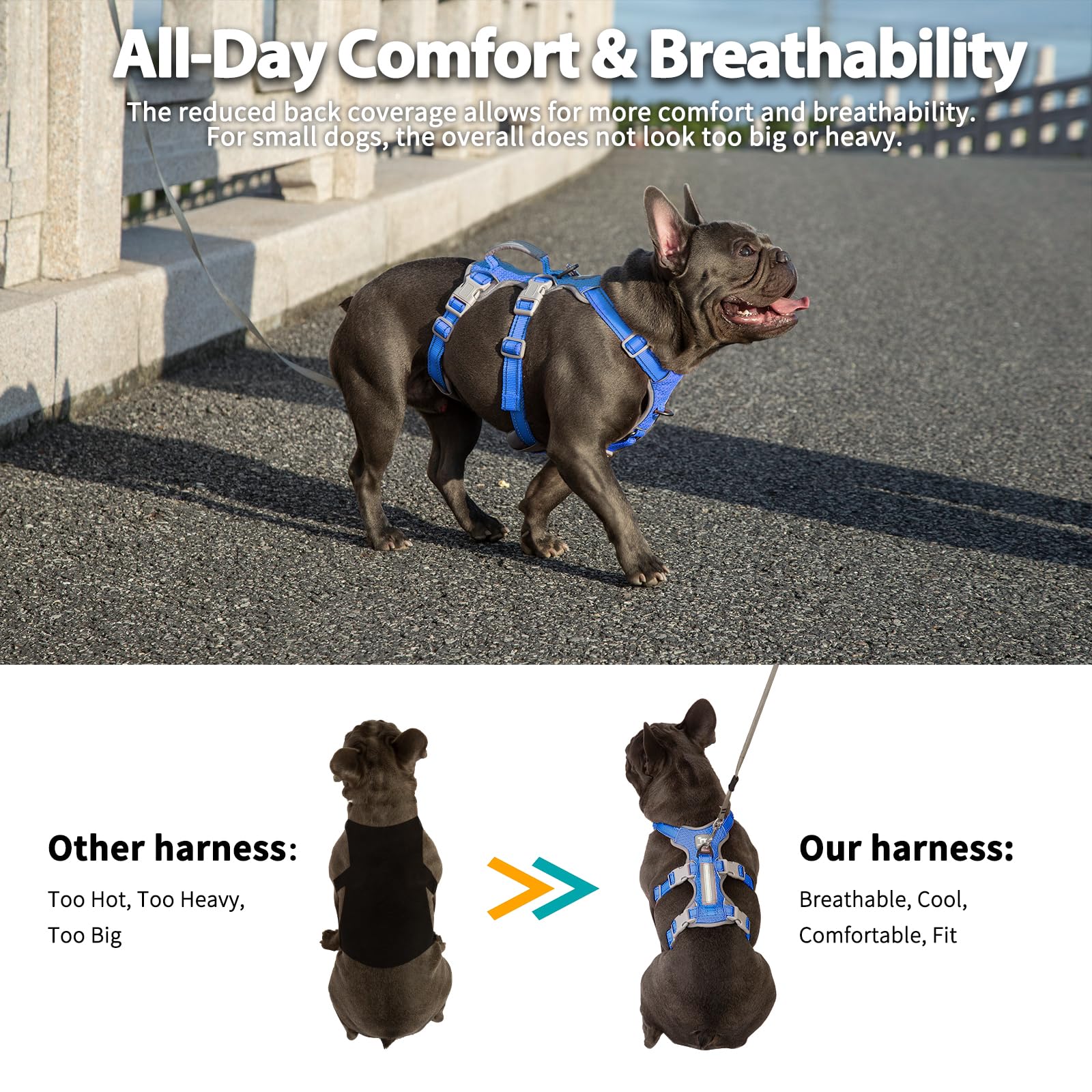 Huntboo five-point adjustable fit grows with your dog.
