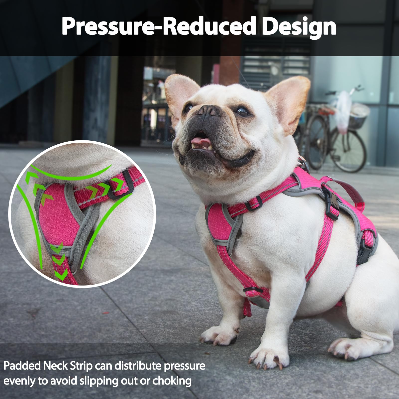 Huntboo five-point adjustment harness adapts to growing dogs